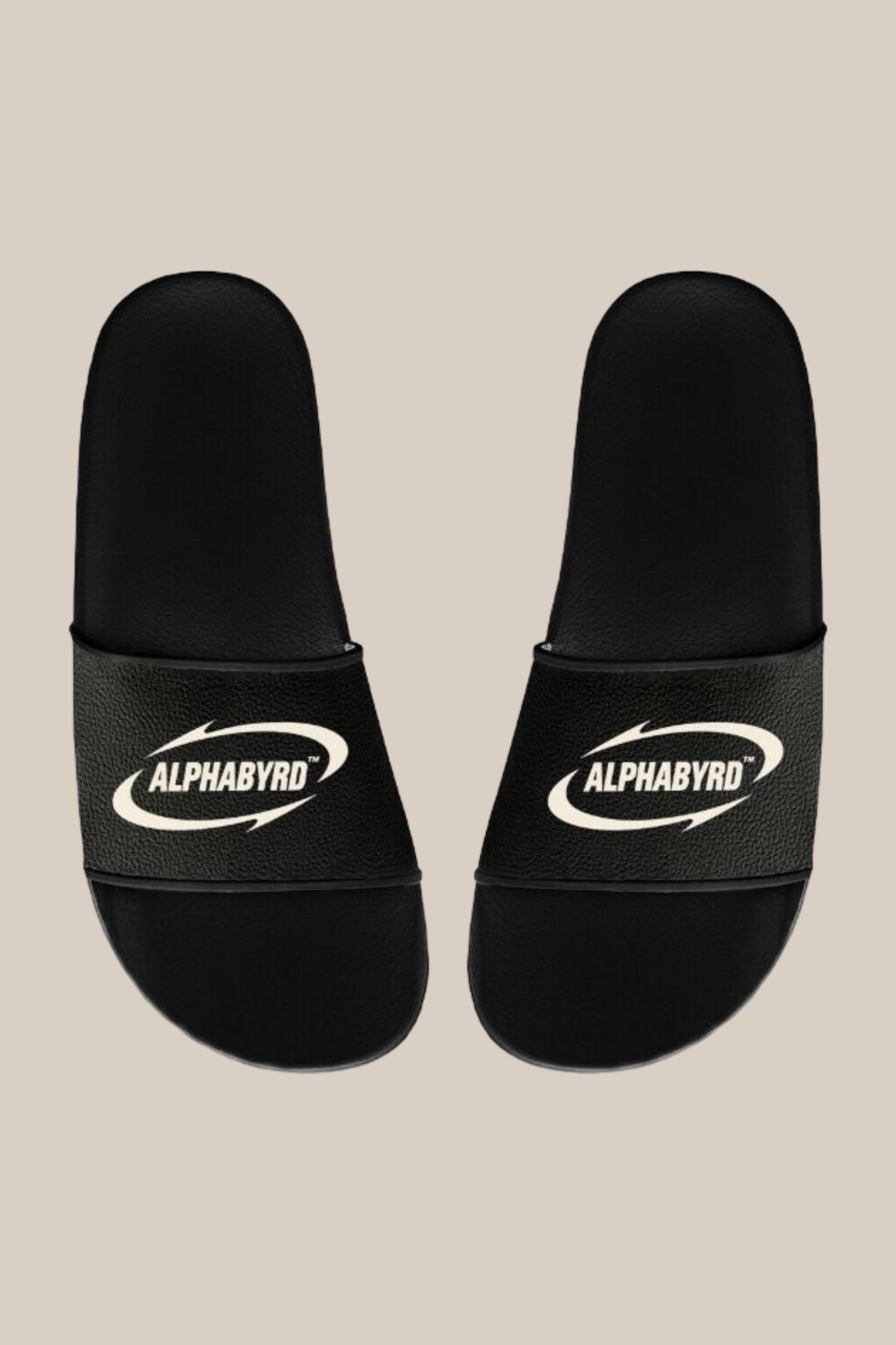 ALPHABYRD VELOCITY SLIDES