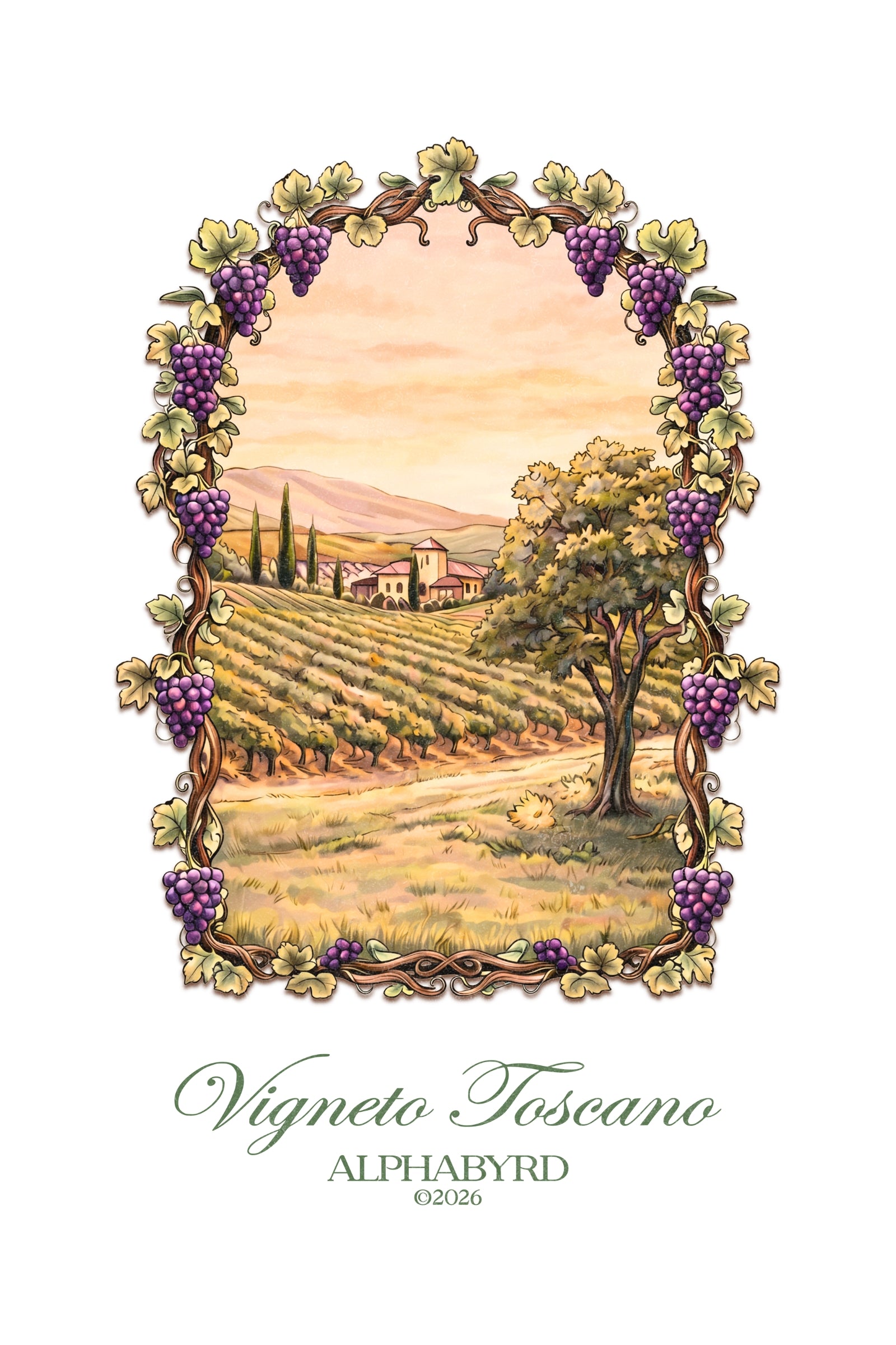 VIGNETO TOSCANO OVERSIZED TEE