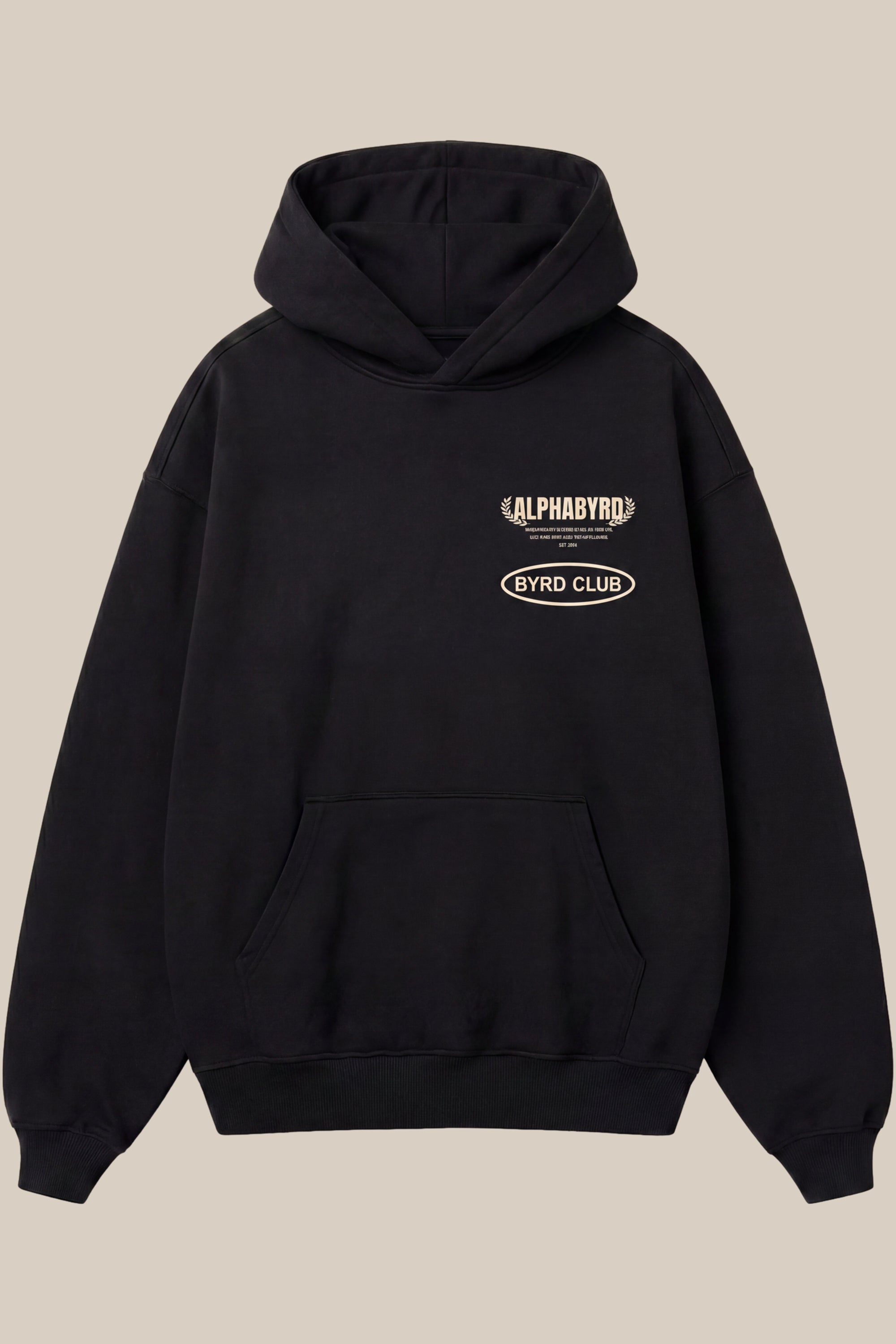 Always Ahead Oversized Hoodie