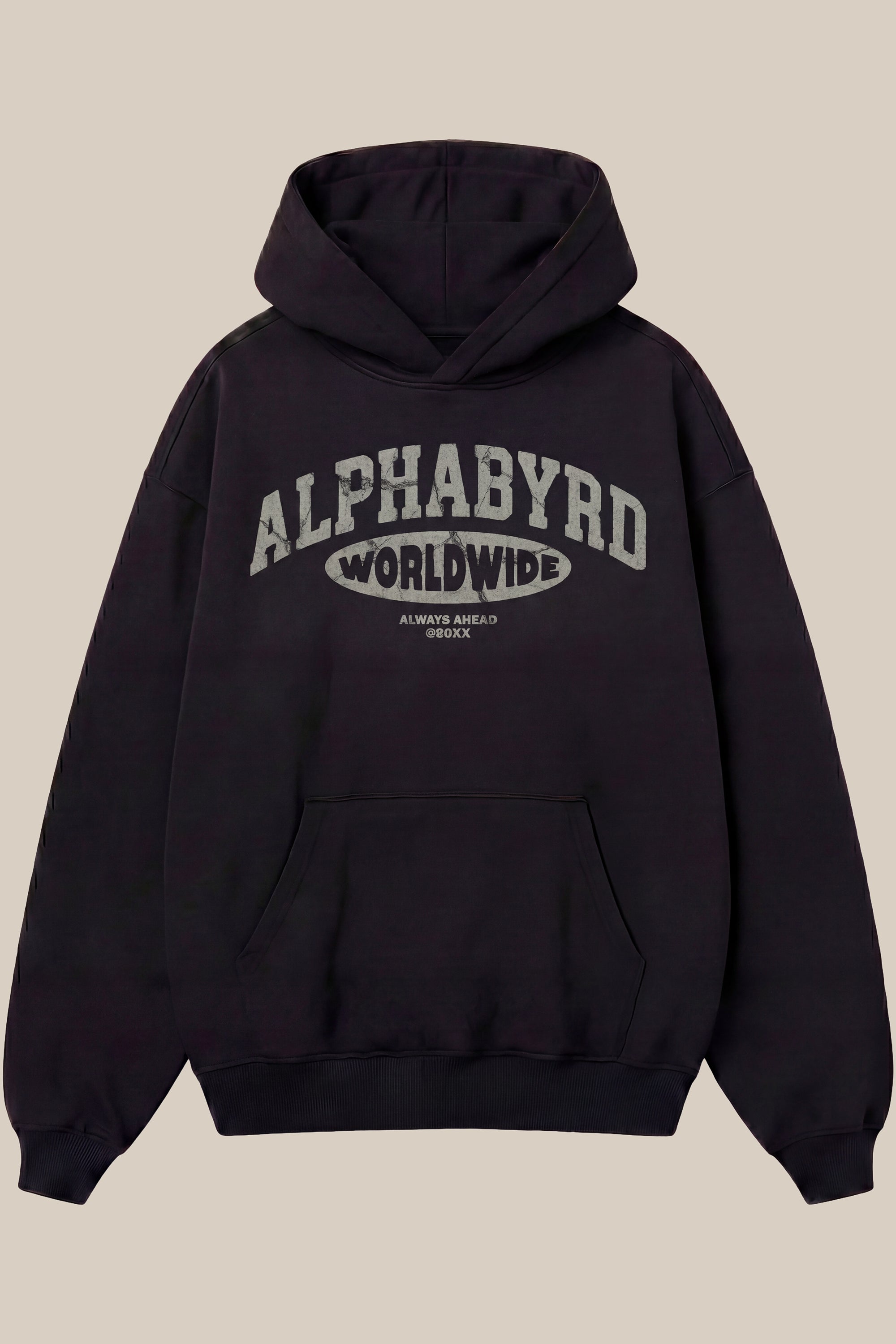 AlphaByrd Worldwide Vintage Oversized Hoodie