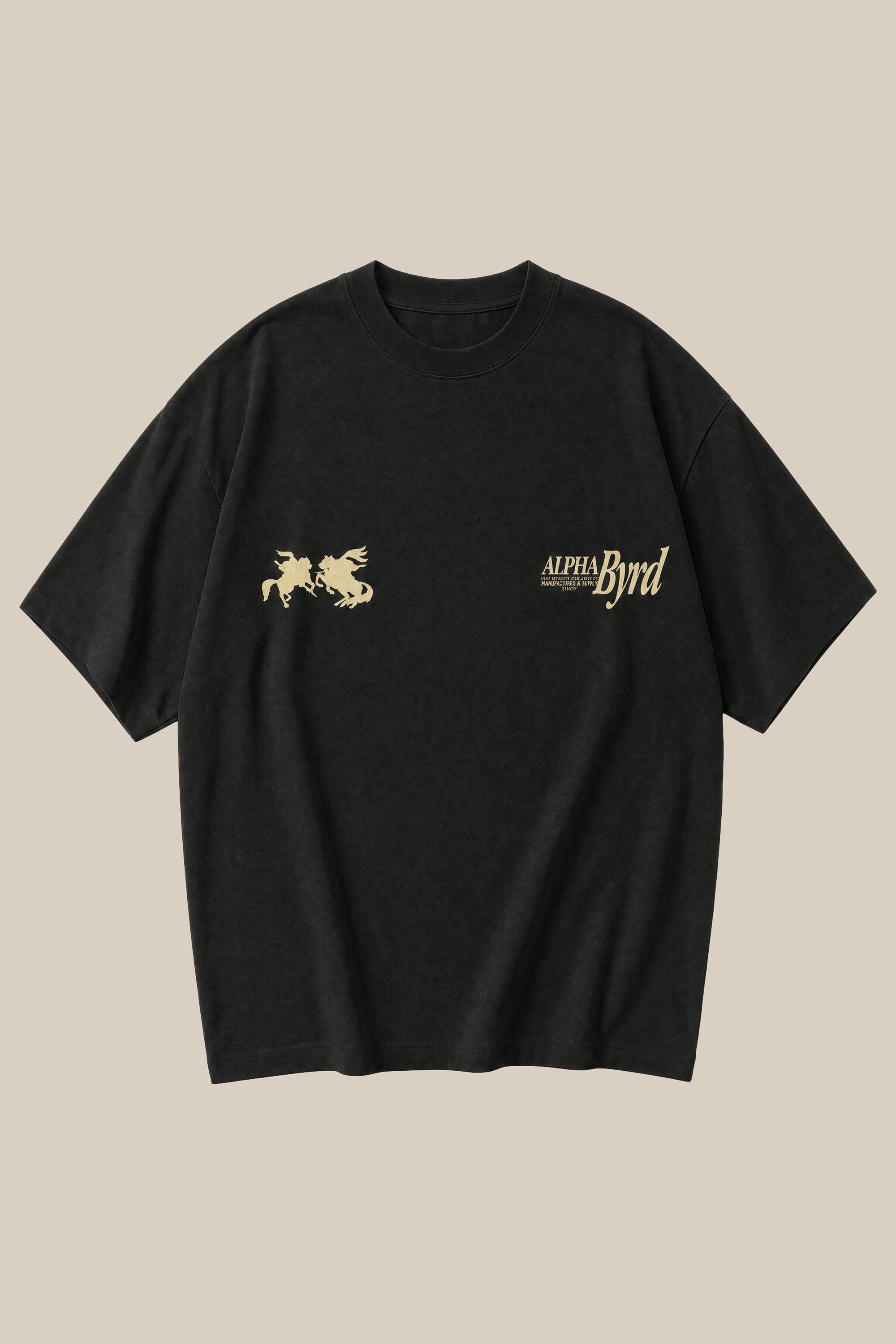 ALPHABYRD HONOR & GLORY OVERSIZED TEE