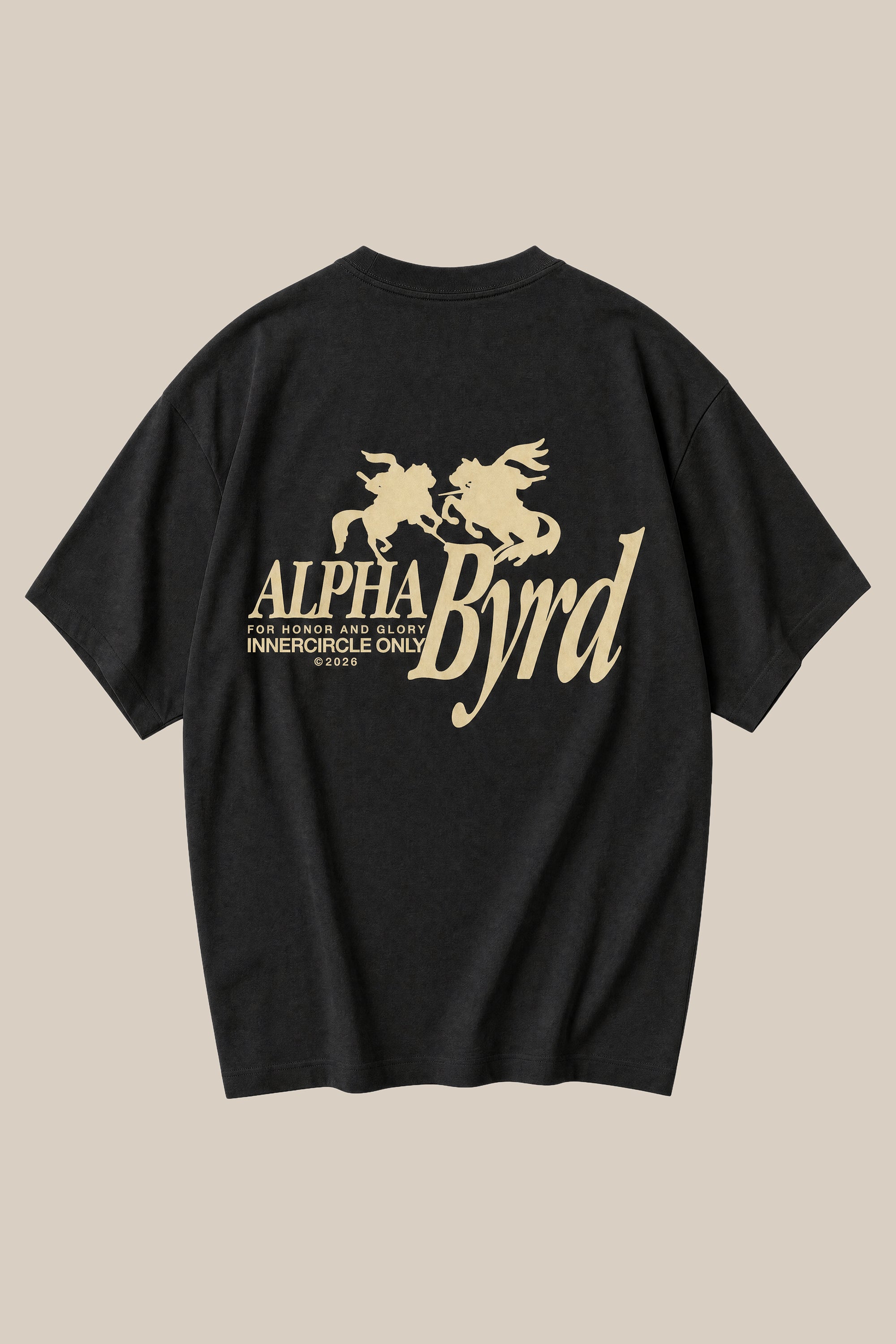 ALPHABYRD HONOR & GLORY OVERSIZED TEE