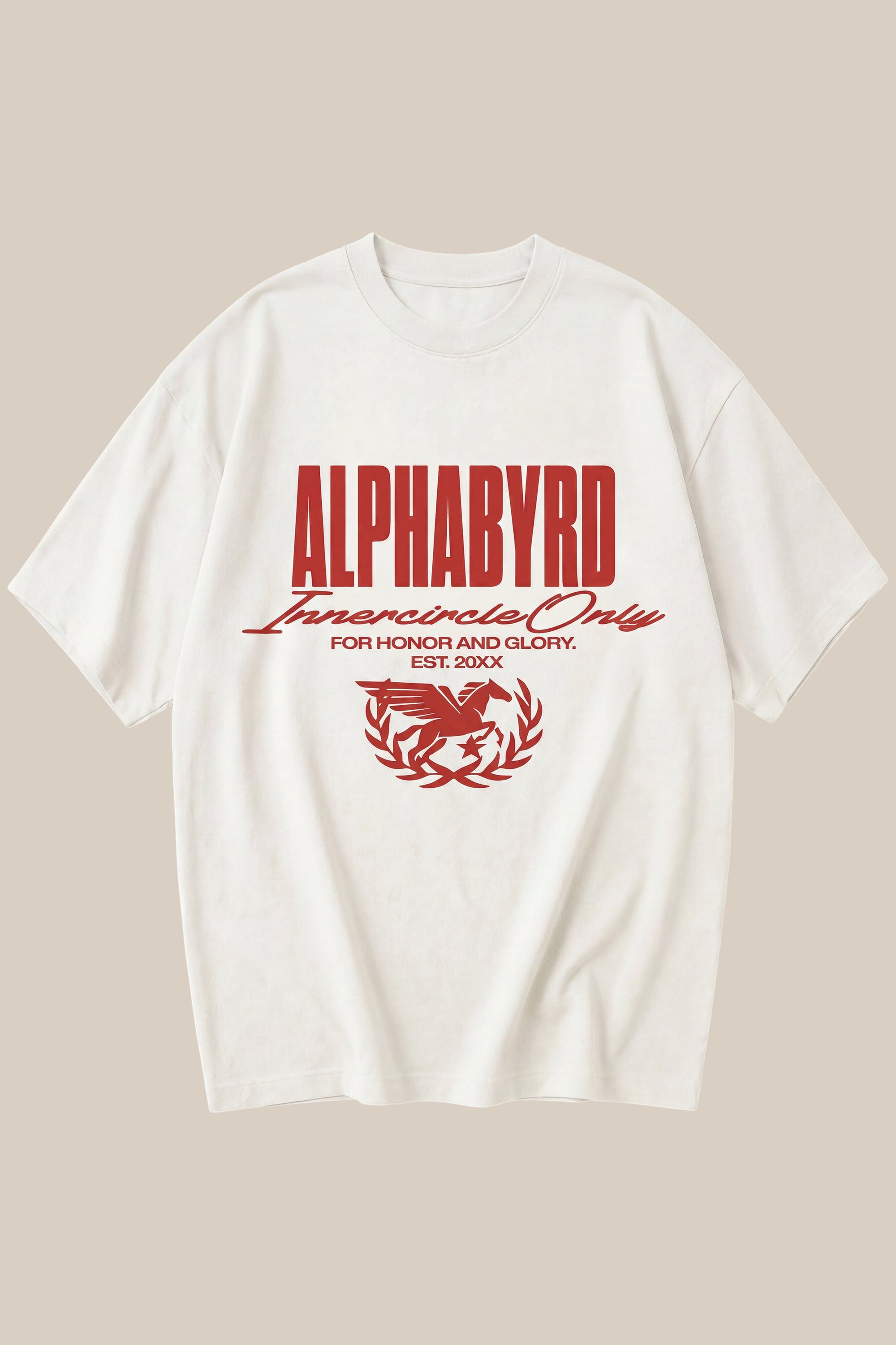 ALPHABYRD PEGASUS OVERSIZED TEE