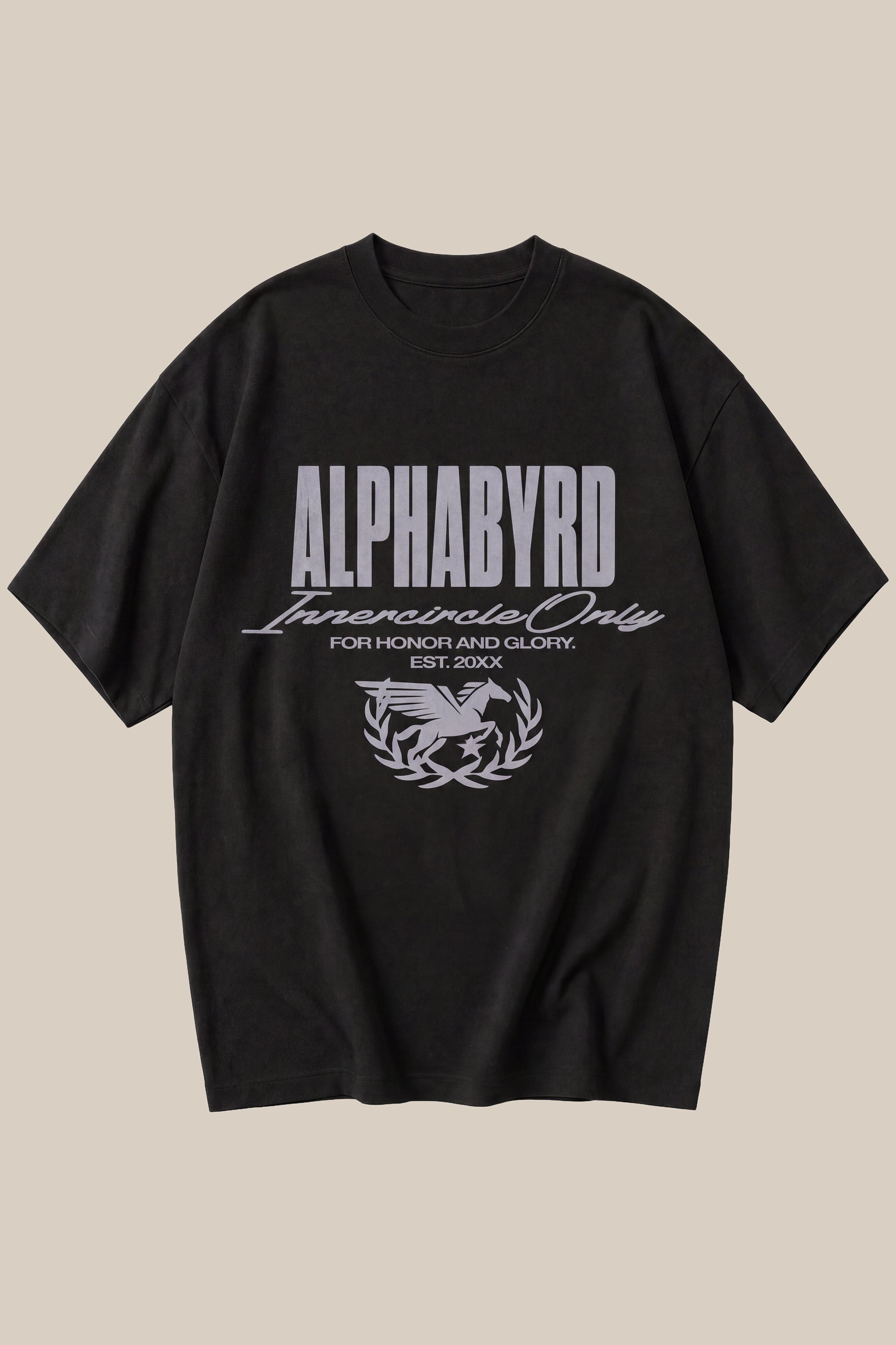 ALPHABYRD PEGASUS OVERSIZED TEE