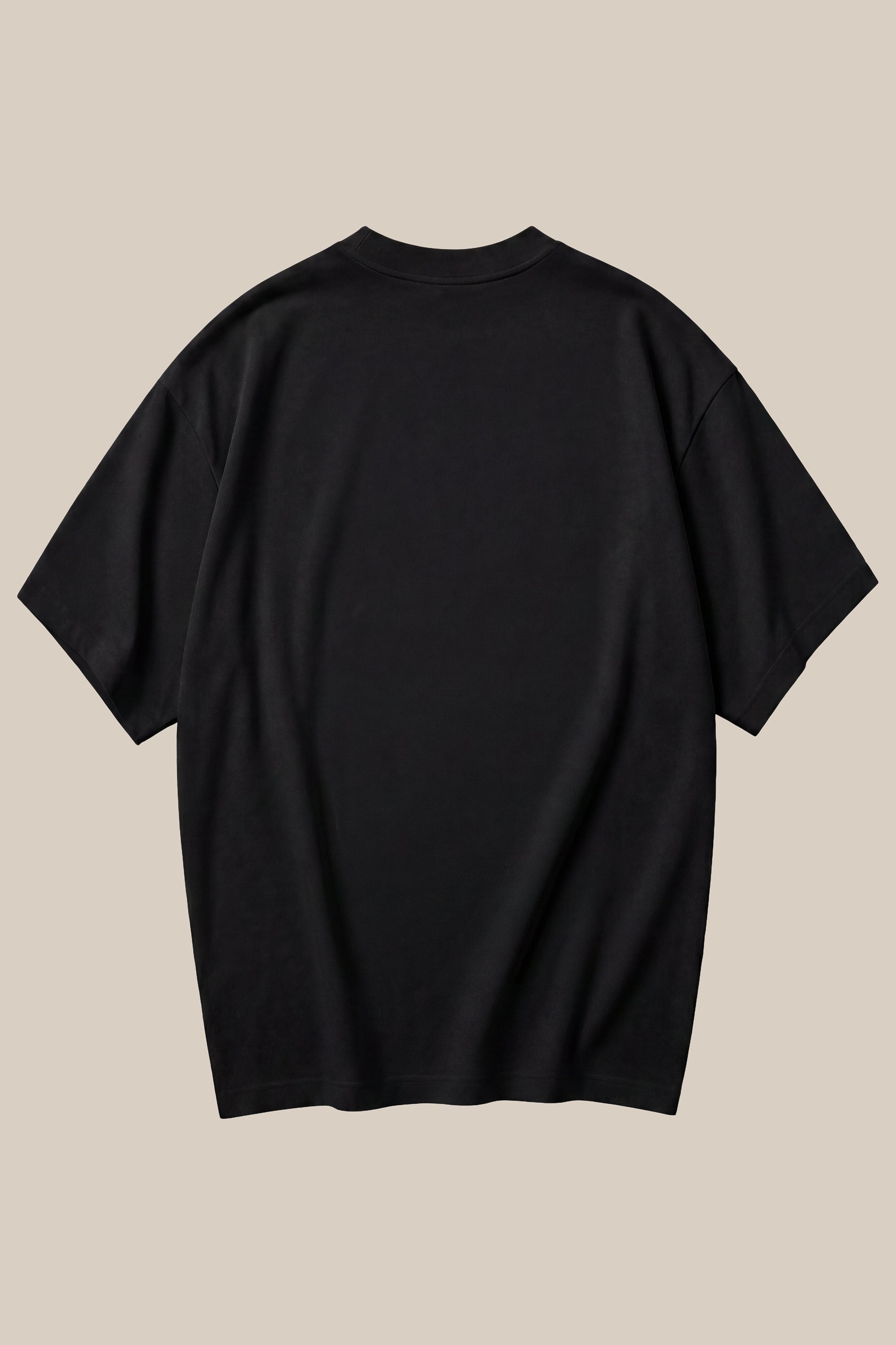 ALPHABYRD PEGASUS OVERSIZED TEE