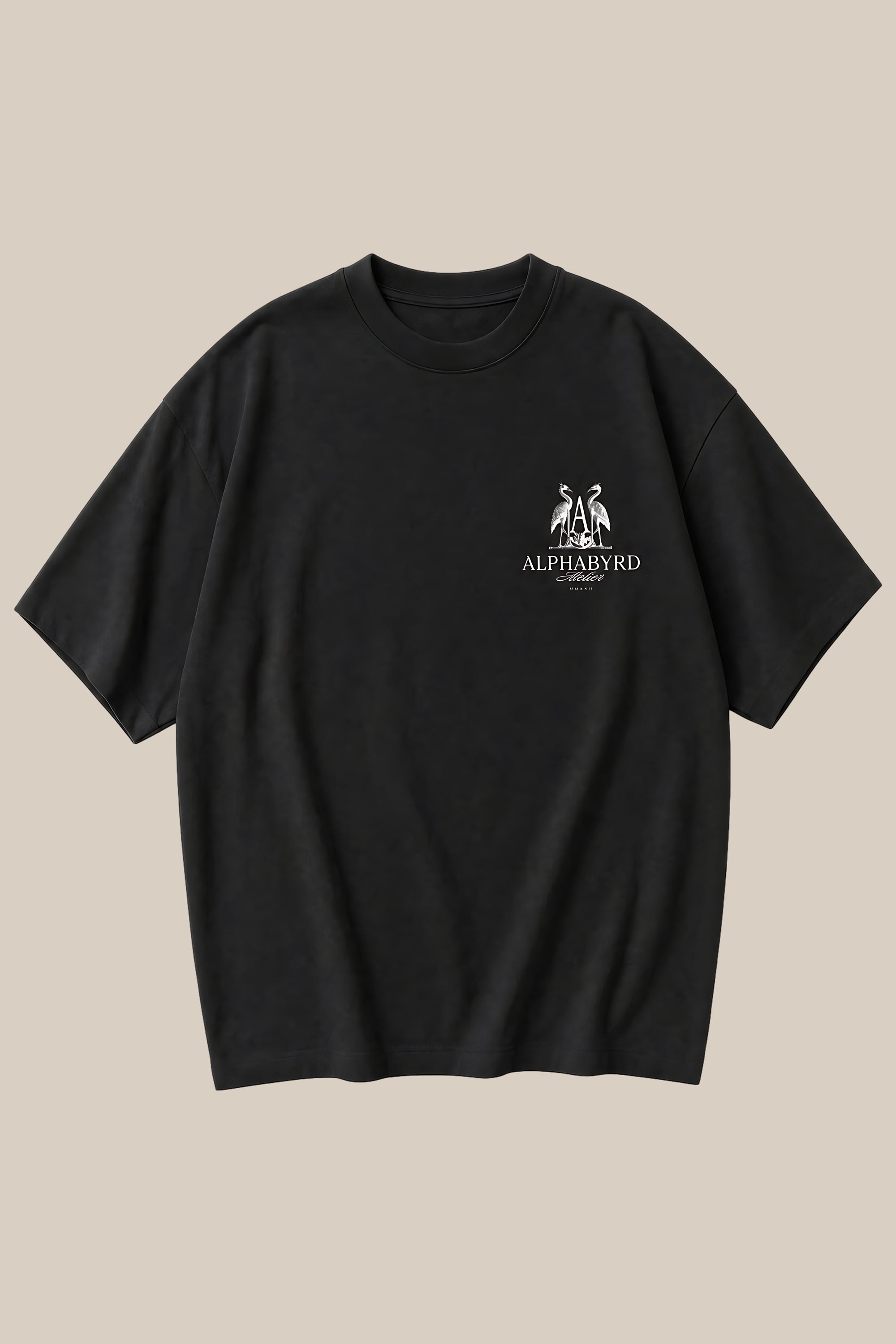 ALPHABYRD MAISON OVERSIZED TEE