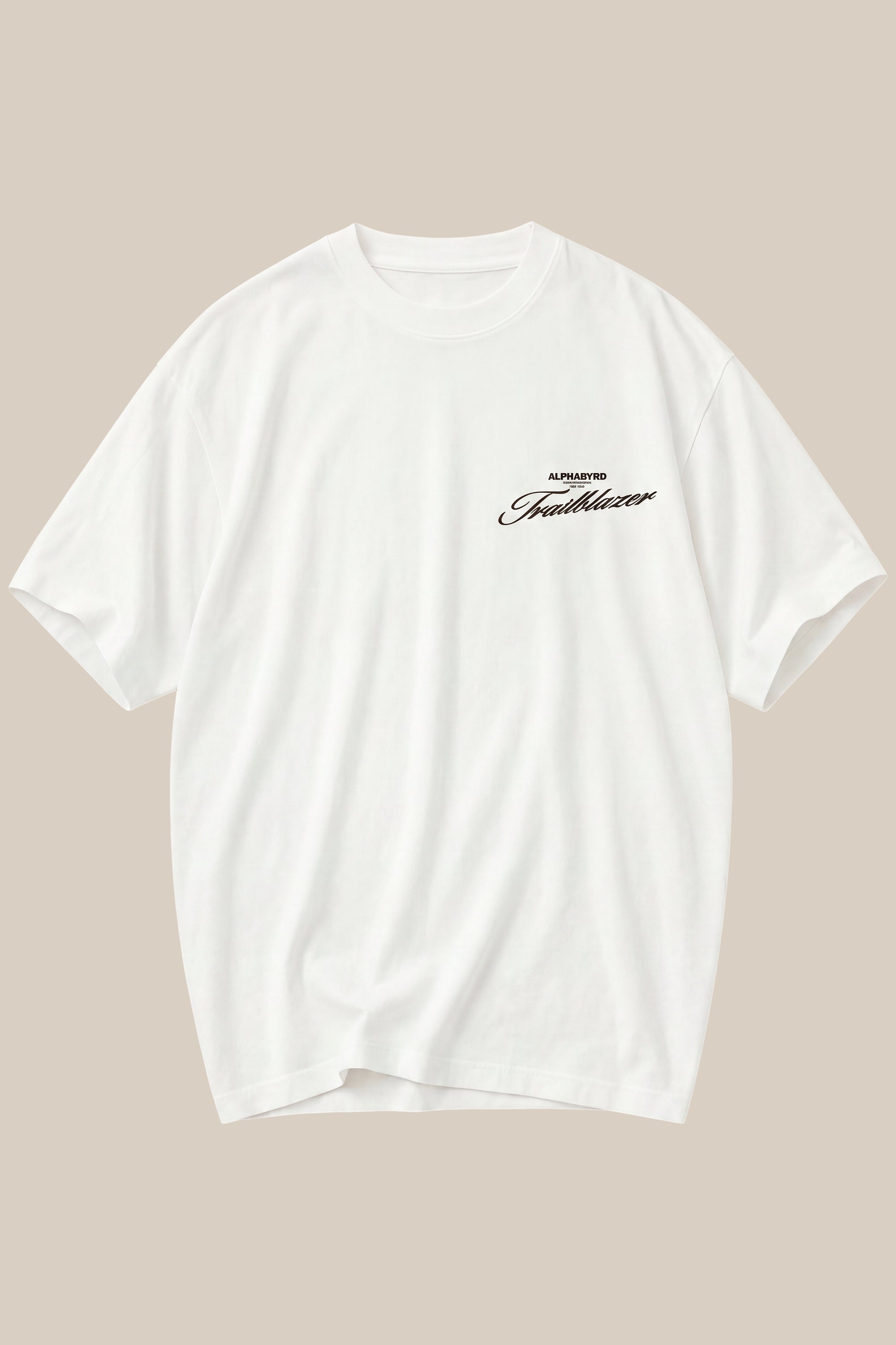 ALPHABYRD TRAILBLAZER OVERSIZED TEE