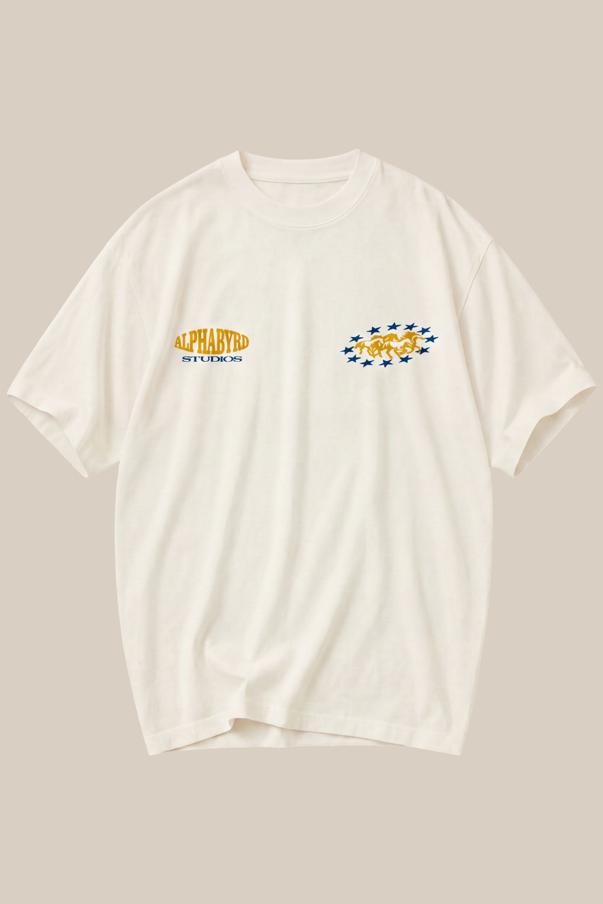 ALPHABYRD ALWAYS AHEAD OVERSIZED TEE