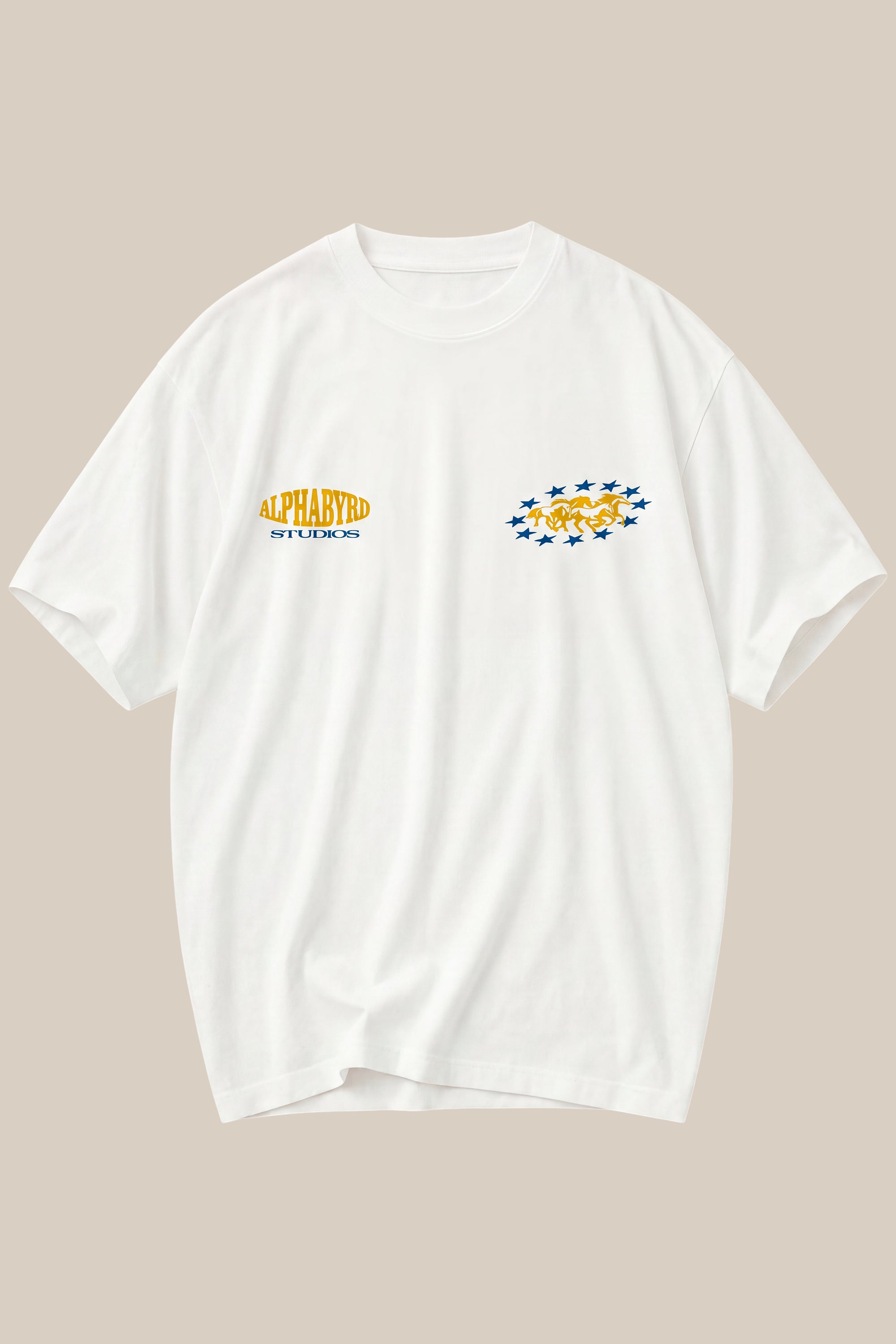 ALPHABYRD ALWAYS AHEAD OVERSIZED TEE