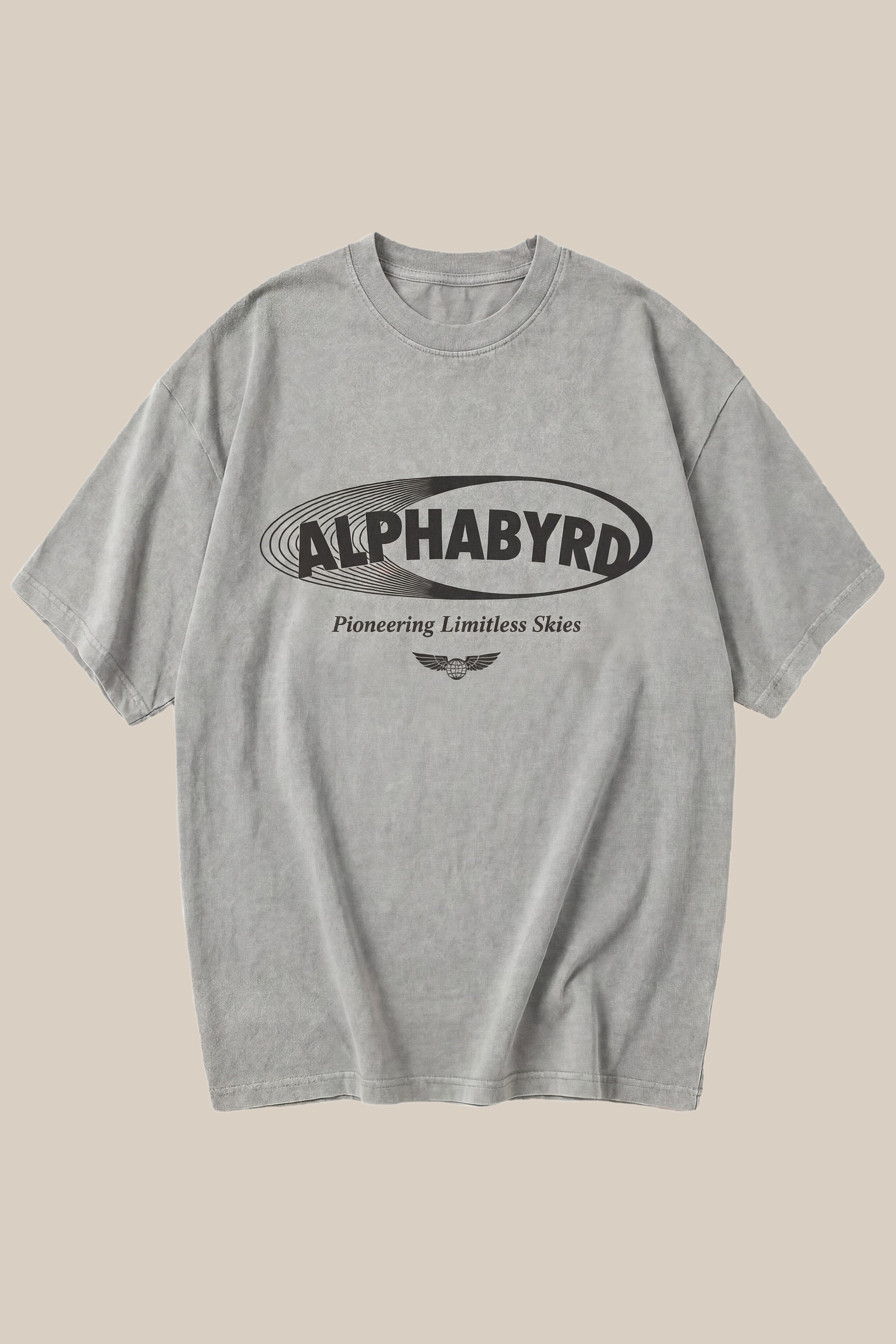 ALPHABYRD LIMITLESS SKIES OVERSIZED TEE