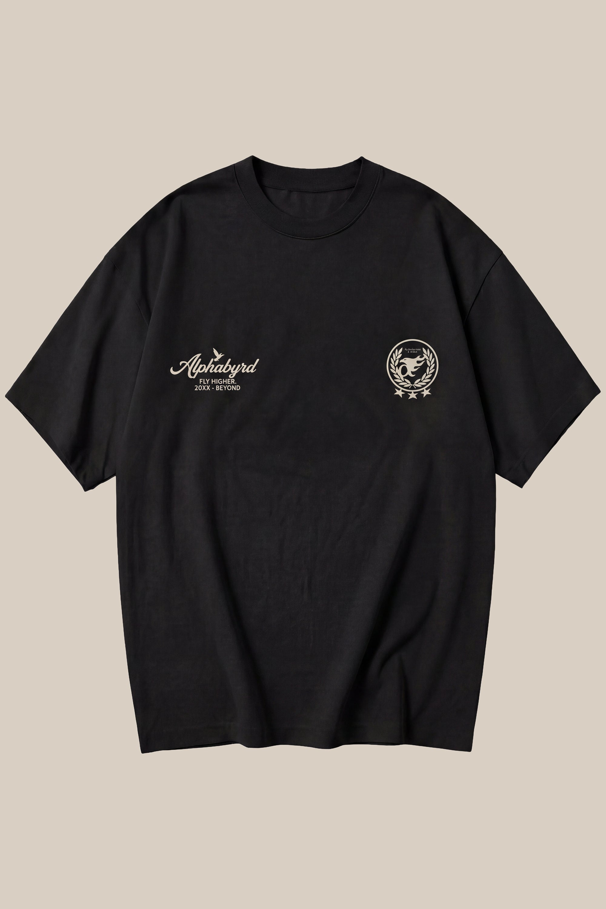 ALPHABYRD FLY HIGHER OVERSIZED TEE