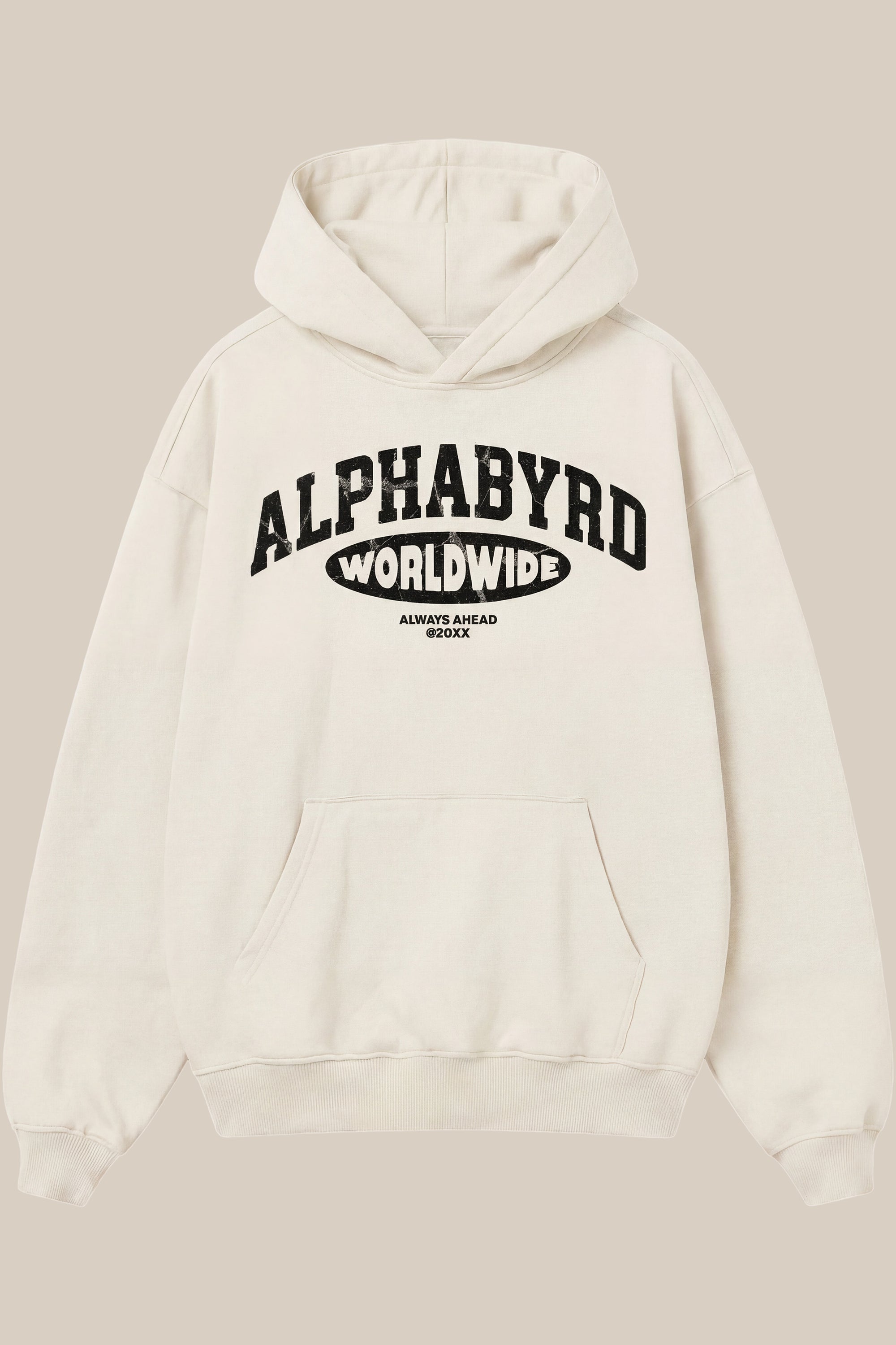 AlphaByrd Worldwide Vintage Oversized Hoodie
