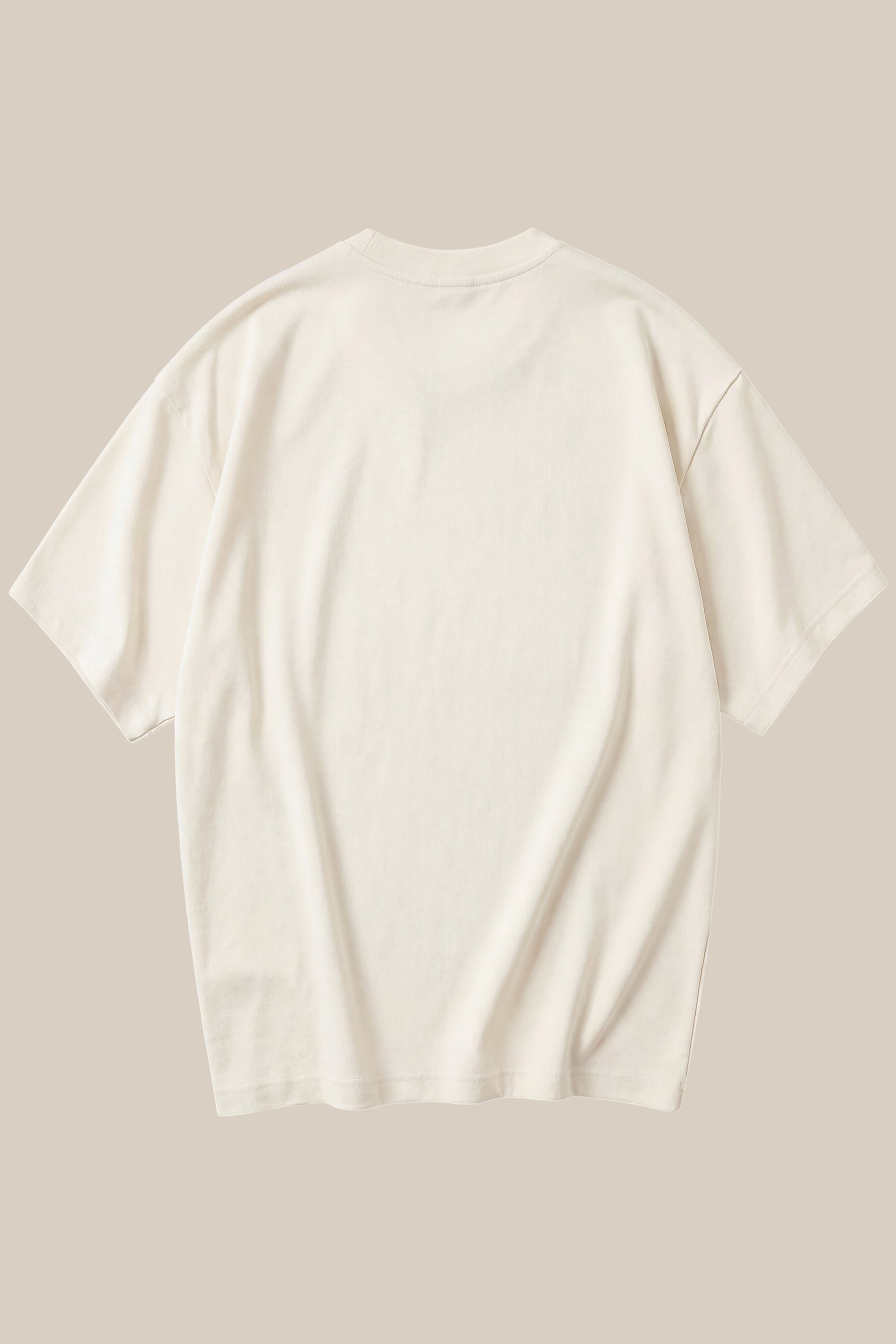 ALPHABYRD FLY HIGHER OVERSIZED TEE