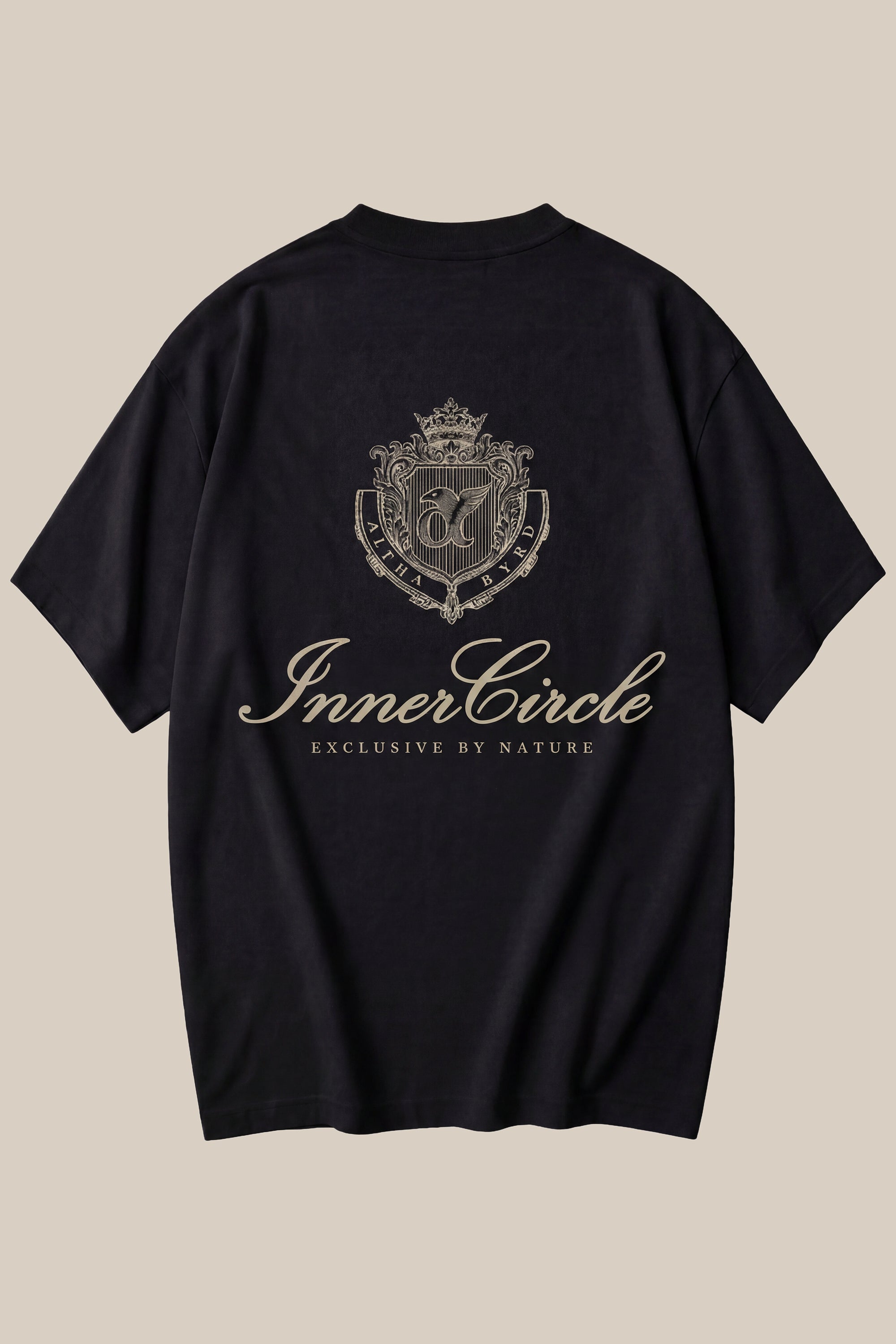 ALPHABYRD CREST OVERSIZED TEE